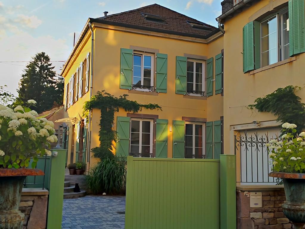 רמירמון La Chouette Maison - Chambres D'Hotes Et Gite En Ville מראה חיצוני תמונה